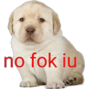 no fok iu
deposition