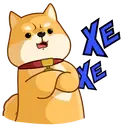 Akiovk dog 28