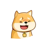 Akiovk dog 7
