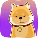Akiovk dog 5