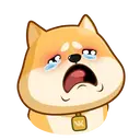 Akiovk dog 6