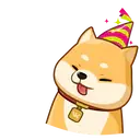 Akiovk dog 27