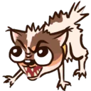 El chihuahua 23