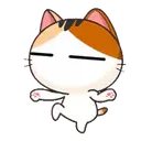 MEOW mov. 11