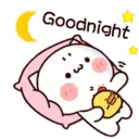 Buenas noches 14