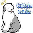 Pastor Inglés 1 20