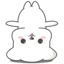 Lovely dogs 13