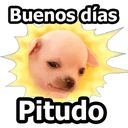Buenos dias
Pitudo
