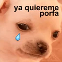 ya quiereme
porfa
RES DELI