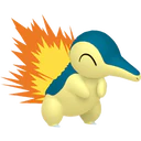 Pokemon 154-165 21
