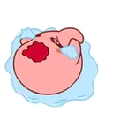️Pink ball   MOV 3
