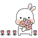 ️ Rabbit garden   MOV 3