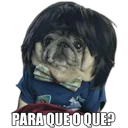 Perrito con frases 25
