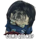 Perrito con frases 30