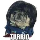 Perrito con frases 23