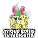 ️Toxic Sponge 25