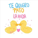 Frases lindas 1 23